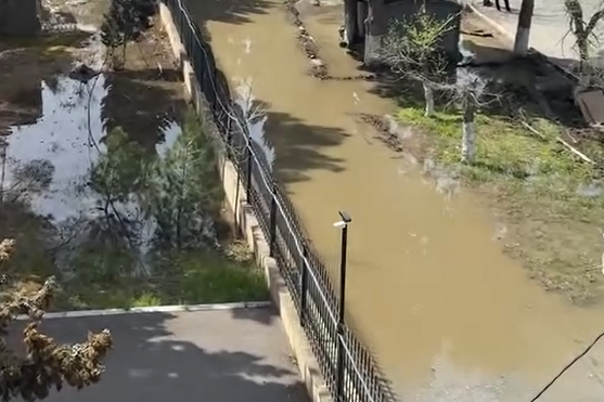 SDU-nun həyəti "bataqlığa" dönüb