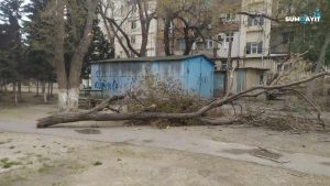 Foto Sumqayıt24