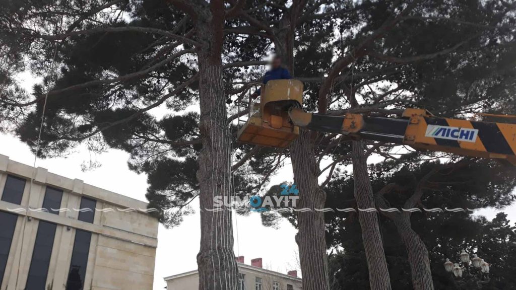 Foto Sumqayıt24