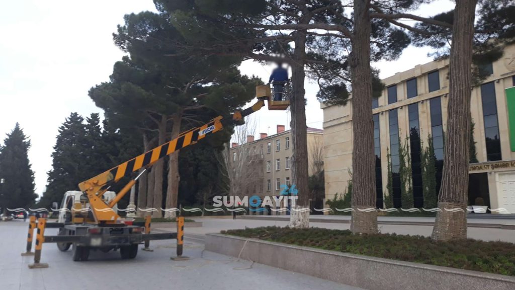 Foto Sumqayıt24