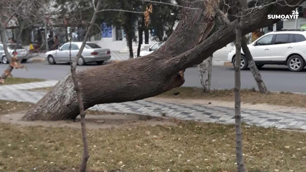 Foto Sumqayıt24