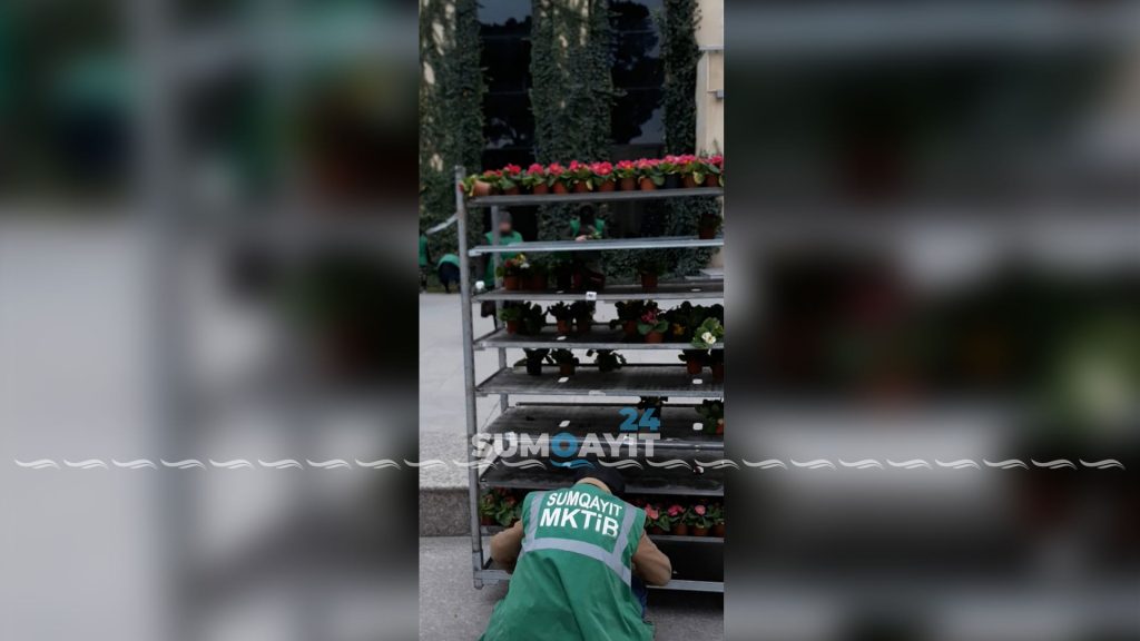 Foto Sumqayıt24