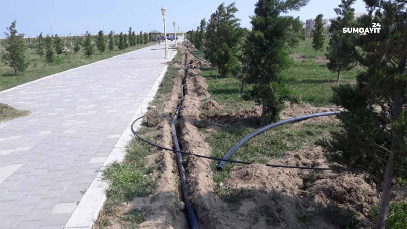 Sumqayıt bulvarında yeni suvarma sistemi quraşdırılır