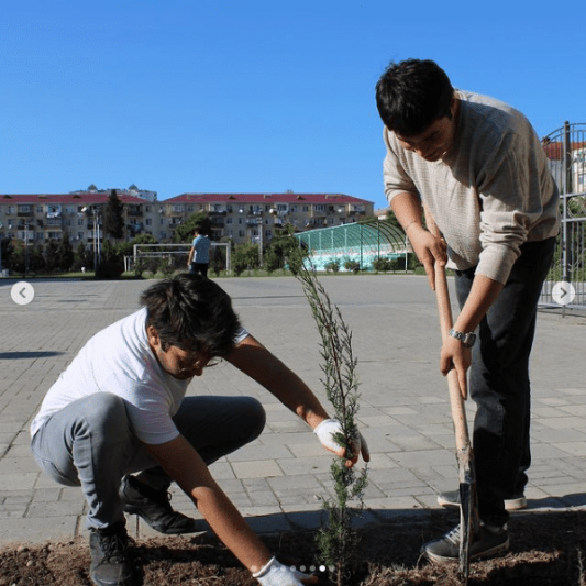 Sumqayıt: Gənclər evi ağacəkmə aksiyası təşkil edib