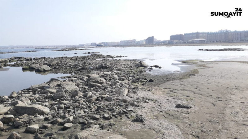 Sumqayıt: Xəzər dənizi geriyə çəkilir