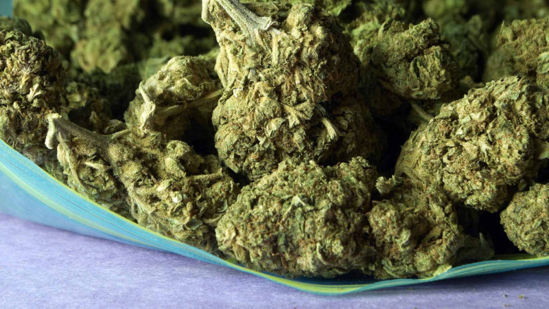 Sumqayıt sakini marixuana ilə tutuldu