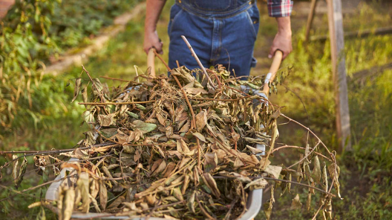 Sumqayıtda iməcilik işləri aparılıb