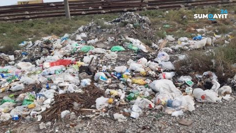 “Sumqayıtçay” ərazisində gecə saatlarında tullantıların qoxusuna çaqqal və tülkülər gəlir