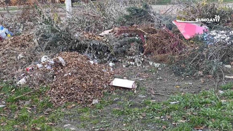 Sumqayıtda ağaclar, budaqlar, otlar günlərlə yığılır