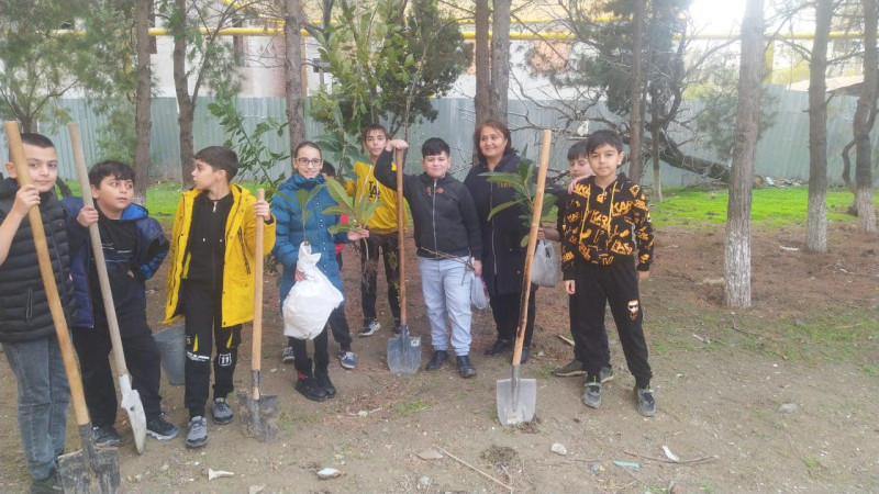 Sumqayıtlı Zəfər Gününə həsr olunmuş ağacəkmə aksiyası keçirilib