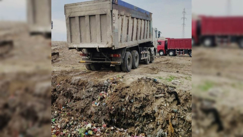 Sumqayıt poliqonunda 66 tondan çox müxtəlif növ qida məhsulları məhv edilib