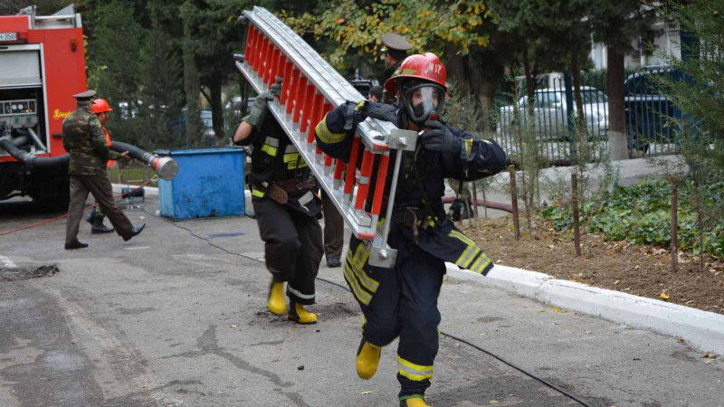 Sumqayıt: 1 nəfər ağaca qalxaraq köməksiz vəziyyətdə qalıb