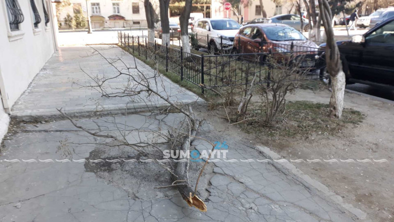 Sumqayıt: Heydər Əliyev prospektində küləyin fəsadları