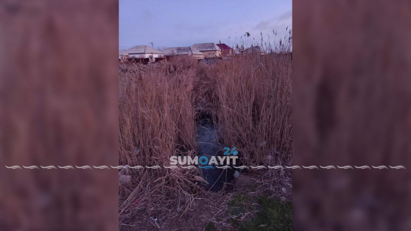 “4 kamera” adlandırılan ərazidə kanalizasiya suları evlərin önündən axır
