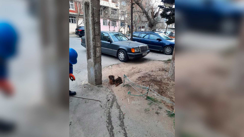 Sukanal İdarəsi kanalizasiya quyularını təmizləyib