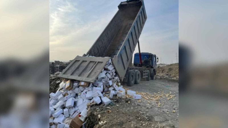 Sumqayıt poliqonunda 17 tondan çox məhsul məhv edilib