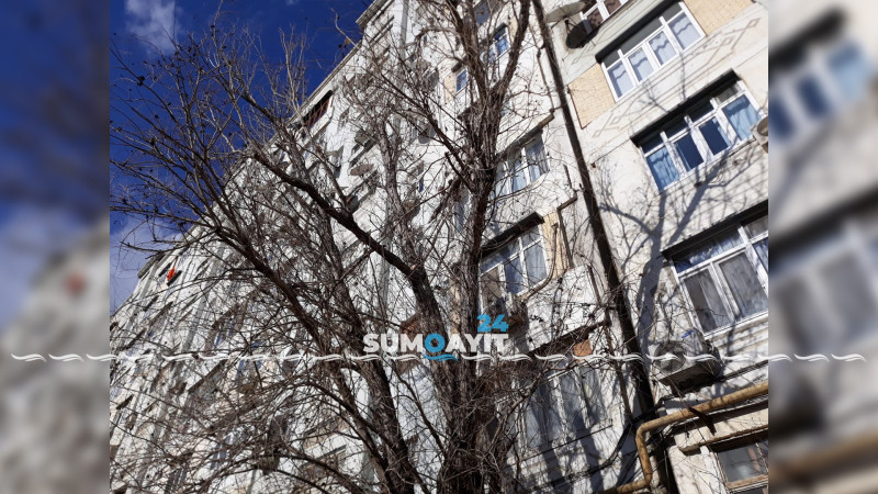 10-cu mikrorayonda quru ağaclar təhlükə mənbəyidir