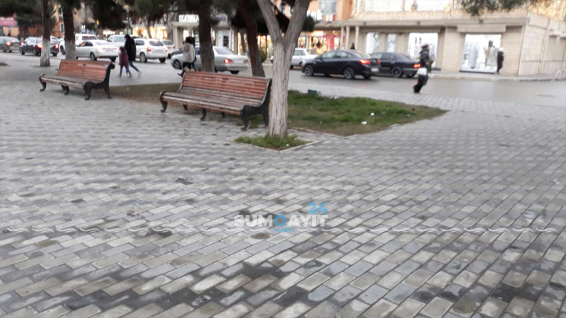 Şəhərin parklarında tullantı qabları yoxdur