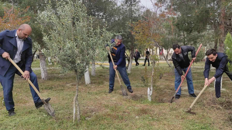 Sumqayıtda iməcilik davam edir