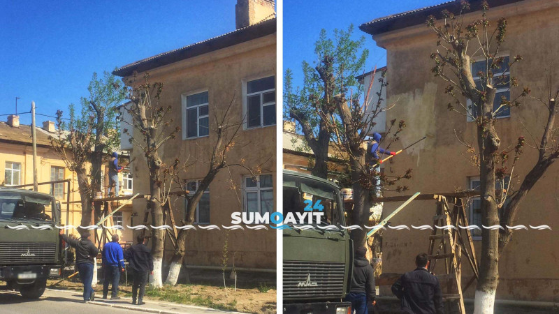 Tağıyev qəsəbəsində abadlıq işləri aparılır