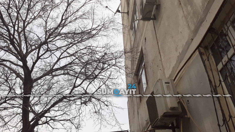 16-cı məhəllə sakinlərini evlərinin önündə yerləşən ağac narahat edir