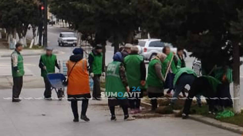 Sumqayıtda iməcilik işləri görülüb