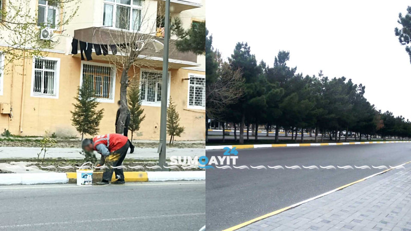 Şəhər ərazisində bordürlər boyanır