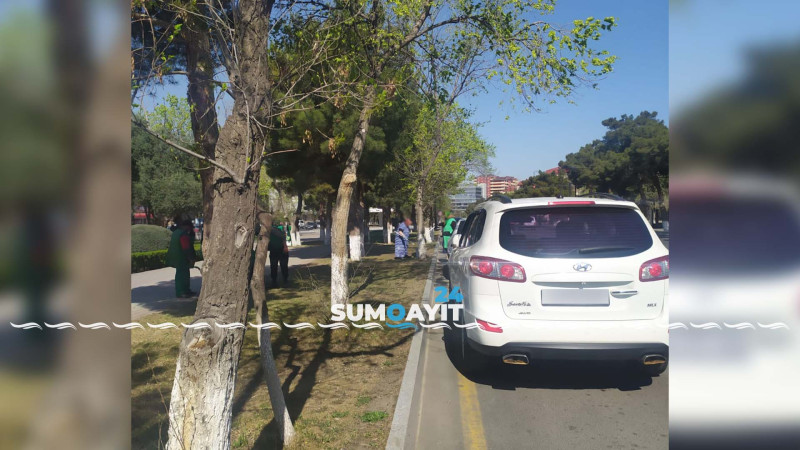 Heydər Əliyev prospektində abadlaşdırma işləri aparılır