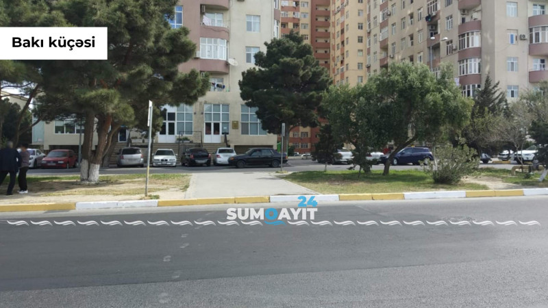 Şəhərin çox istifadə edilən yollarında “zebra” yoxdur