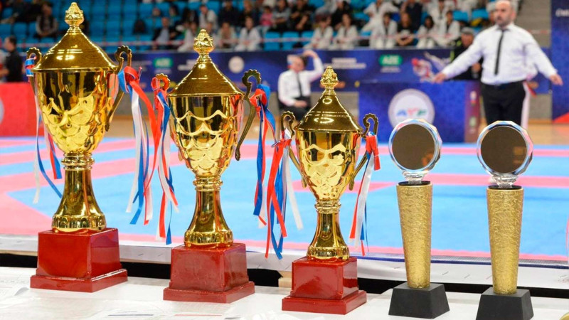 Sumqayıtı təmsil edən taekvondo komandası açıq birincilikdə 17 medal qazanıb