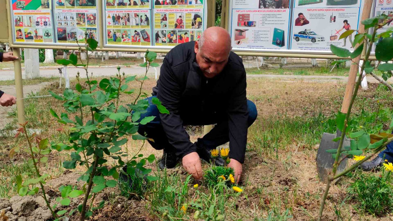 Sumqayıtın bu ərazilərində iməcilik işləri aparılıb