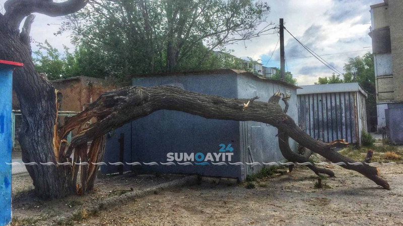 Güclü küləyin fəsadı hələ də aradan qaldırılmayıb