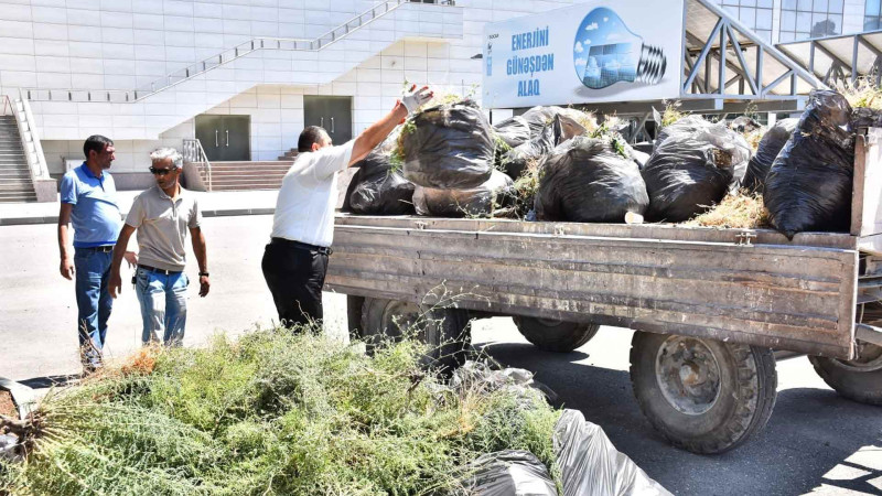 “Kimyaçı” Mədəniyyət Sarayında iməcilik işləri aparılıb