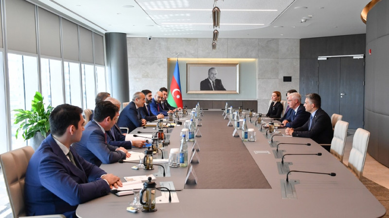 Şəhərimizdə iki növ qazın istehsalı planlaşdırılır