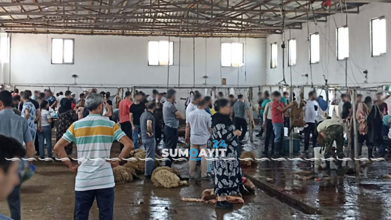Qurbanlıq heyvan almaq istəyən sakinlər “Mal bazarı”na toplaşıb