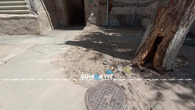 4-cü mikrorayonda hər an aşa biləcək ağac sakinləri narahat edir