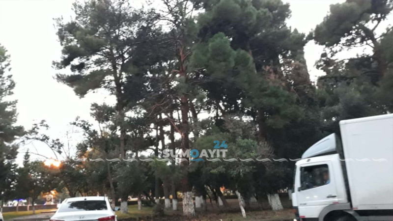Sumqayıt Dövlət Dram Teatrının yanında yanğın olub
