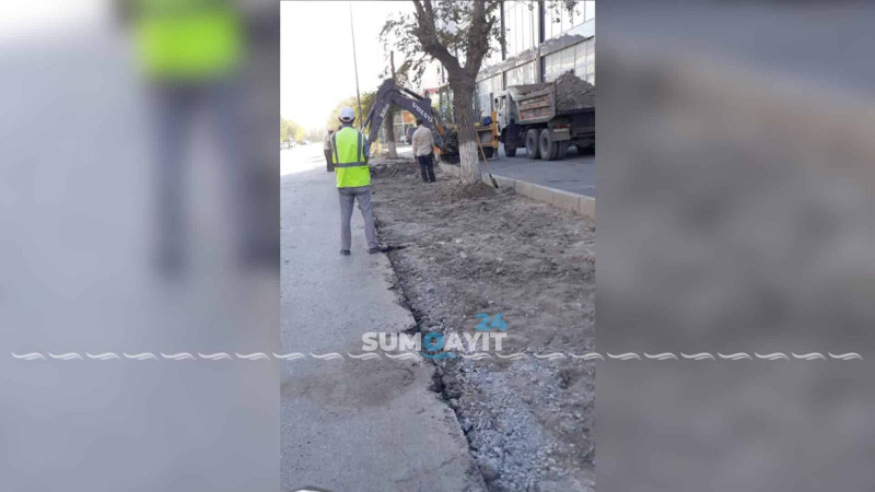 Sumqayıtda parkinq üçün yaşıllıq ərazi məhv edilir?