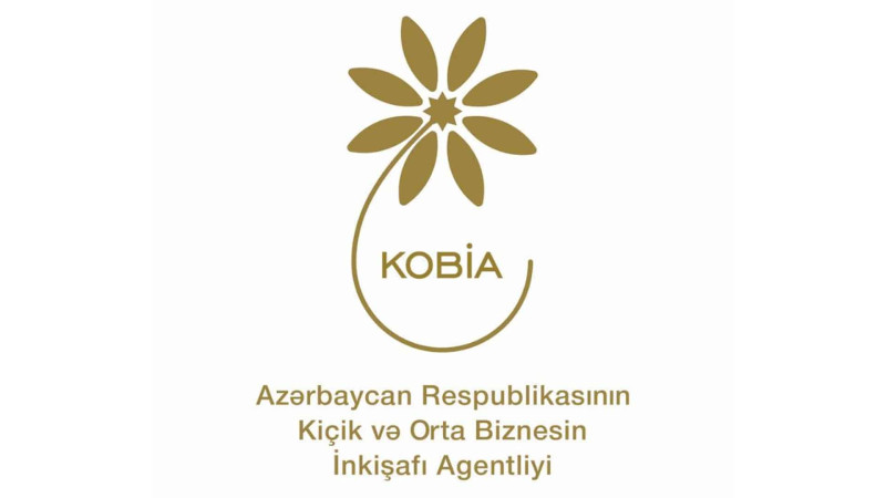 KOBİM-in eksperti tərəfindən ödənişsiz təlim keçiriləcək