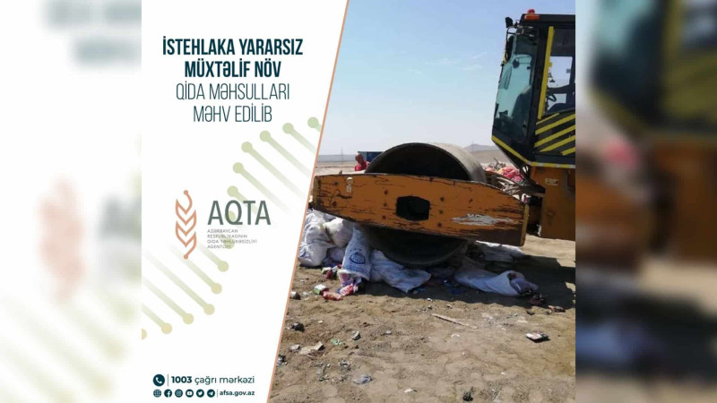 Dondurulmuş toyuq ayaqlarında təhlükəli bakteriya aşkar edilib