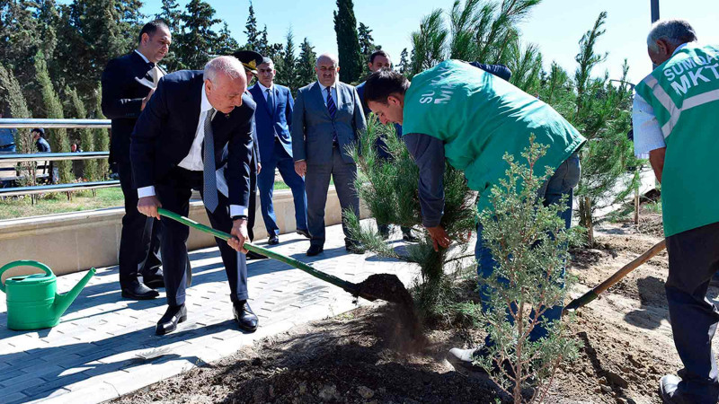 Sumqayıtın müxtəlif ərazilərində ağaclar əkilib