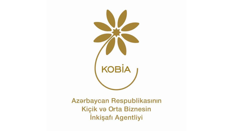“Biznes ideya” mövzusunda pulsuz təlim olacaq