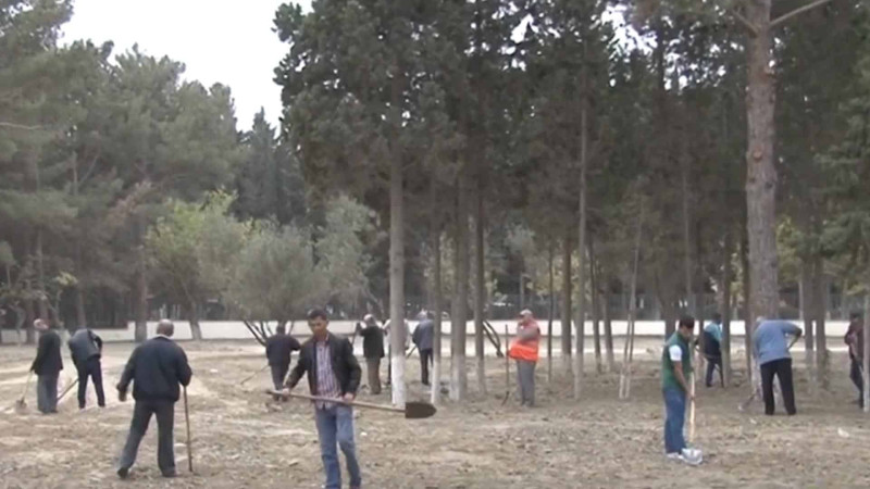 “Mehdi Hüseynzadə” stadionunun ətrafında abadlıq işləri görülüb