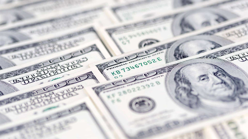 Şirkət rəhbəri 600 min dollarının mənimsənildiyini iddia edir