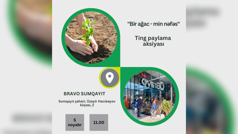 “Bir ağac - min nəfəs” adlı tingpaylama aksiyası keçiriləcək