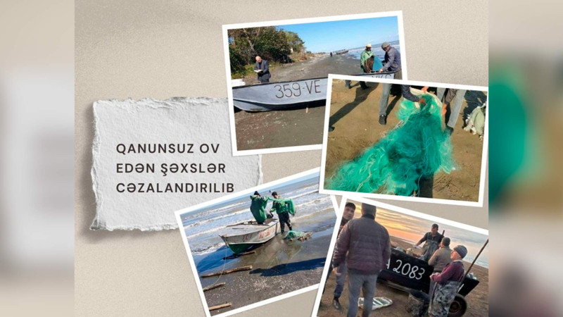 Qanunsuz balıq ovlayan Sumqayıt sakini cəzalandırılıb