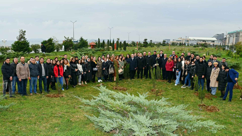 Sumqayıt Bulvarında ağacəkmə aksiyası baş tutub