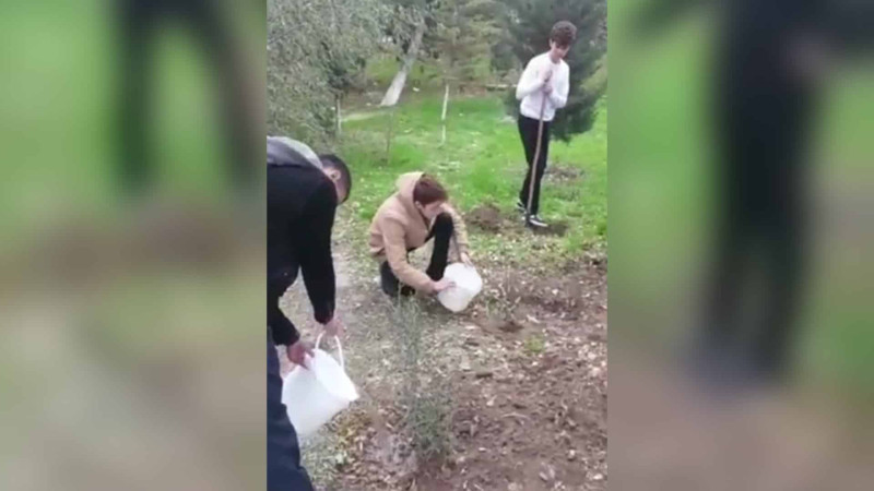 Məktəbyanı sahədə ağaclar əkilib, təmizlik işləri görülüb