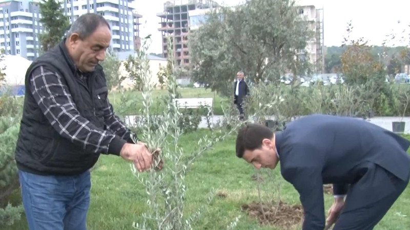 Şəhərimizin 73 yaşı ilə əlaqədar ağacəkmə aksiyası təşkil olunub