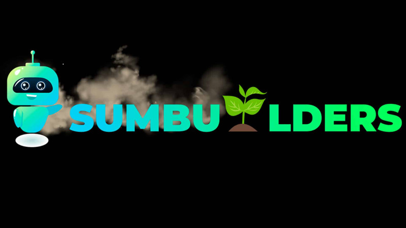 “SUMbuilders” komandasının uğur statistikası